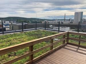 Příroda nedaleko apartmánu + 3 fotografie