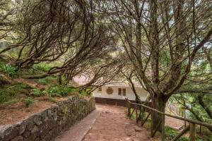 ein Baum neben einer Steinmauer und einem Gebäude in der Unterkunft Rabaçal Nature Spot Cottage in Estreito da Calheta