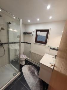a bathroom with a glass shower and a toilet at Souterrainwohnung in Viernheim
