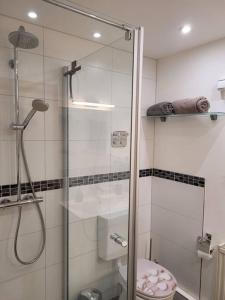 a bathroom with a shower and a toilet at Souterrainwohnung in Viernheim