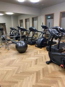 Fitness centrum a/nebo fitness zařízení v ubytování Cosy, stylish new flat with spa and gym & shuttle to ski lifts