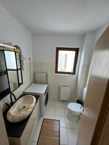 ein Bad mit einem Waschbecken und einem WC in der Unterkunft Toronto EasyBook in Timişoara