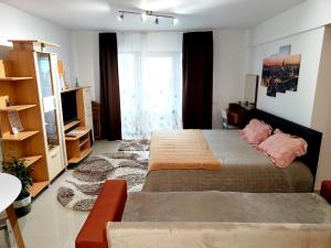 una camera con letto, divano e TV di Studioul de Vis a Braşov