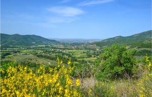 カスティリオーン・フィオレンティーノにあるCozy Home In Castiglion Fiorentinoの黄色い花の丘から渓谷を望む