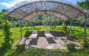 カスティリオーン・フィオレンティーノにあるCozy Home In Castiglion Fiorentinoのアーバーの下に2つのベンチがあるピクニックエリア +19枚の写真