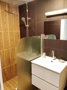 ein Bad mit einem Waschbecken und einer Dusche in der Unterkunft Bungalow de charme in Montjoly