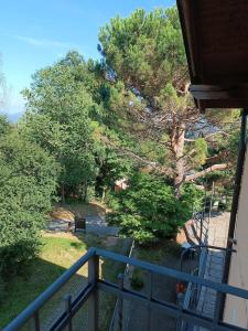 a view from the balcony of a house with trees at Il Castagneto in Trivero