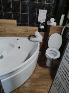 a bathroom with a toilet and a bath tub at PANORAMA SPA apartman in Kraljevo