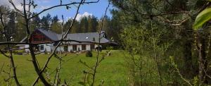 a house in the middle of a field with trees at Domek przy Majątku Morgi in Suchowola