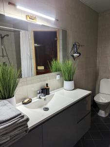 ein Badezimmer mit einem Waschbecken, einem WC und einem Spiegel in der Unterkunft Studio Apartment with Sauna in Pärnu
