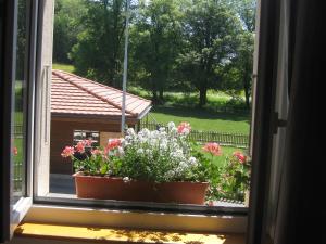 Zahrada ubytování Bed & Breakfast aux Enges