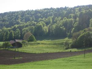 un campo verde con una casa y una colina con árboles en Bed & Breakfast aux Enges en Enges