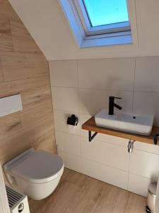 ein Bad mit einem WC und einem Waschbecken in der Unterkunft Family House Wakker in Eemnes