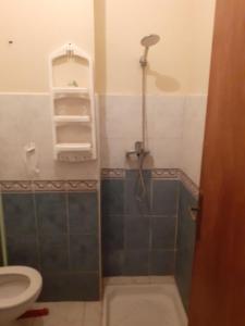 a bathroom with a shower and a toilet at Appartement Sidi Maarouf in Casablanca