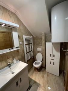 a bathroom with a white toilet and a sink at Apartmani Ristanović in Zlatibor
