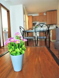 Kuchyňa alebo kuchynka v ubytovaní APARTAMENTOS CASERIA DE COMARES