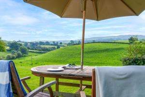 a wooden table with an umbrella on a green field at Stones Throw in Grayrigg