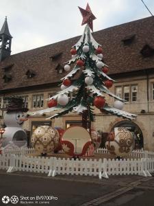 a christmas tree in front of a building at le clémenceau in Montbéliard