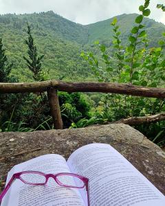 un libro con un par de gafas sentadas en una roca en Apartamentos Rurales El Bosque de las Viñas en Boal