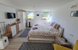 1 dormitorio con 1 cama y TV. en Hygge Apartment en Warstein