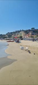 dwa ptaki stoją na plaży blisko wody w obiekcie la maisonnette di anna w mieście Arma di Taggia