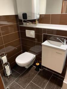 La petite salle de bains est pourvue de toilettes et d'un lavabo. dans l'établissement Apartmán Charmant, à Kroměříž