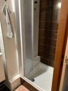 y baño con ducha y puerta de cristal. en Apartmán Charmant, en Kroměříž