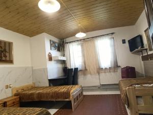 Televízia a/alebo spoločenská miestnosť v ubytovaní Penzion Vysehrad