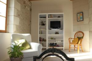 a living room with a chair and a tv at Gîte Moulin d'Olivet 