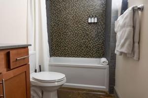a bathroom with a toilet and a tub and a shower at Luxury 2 Br Apartment With Modern Accents Downtown in Roanoke