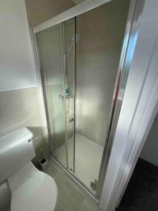 La salle de bains est pourvue d'une douche et de toilettes. dans l'établissement Large 5 bed detached house near Stansted Airport, à Stansted Mountfitchet