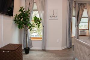 uma sala de estar com uma janela e um vaso de plantas em Modern 1BR Exclusive Space in Historic Brooklyn em Brooklyn