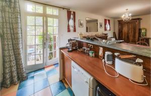 a large kitchen with a counter and a sink at Awesome Apartment In Puissalicon With Wifi in Puissalicon