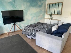 sala de estar con sofá y TV de pantalla plana en Disney appartement, en Chessy