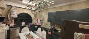 - une cuisine avec un évier et un comptoir dans l'établissement Maadi Shaya, au Caire