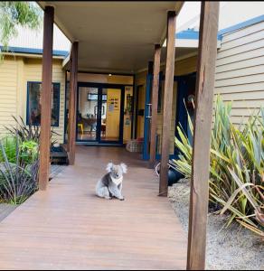 a cat sitting on the porch of a house at Sandpiper Motel Apollo Bay in Apollo Bay