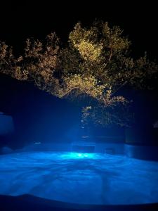 un árbol iluminado por la noche con luces azules en Beach House Pods, en Dunoon