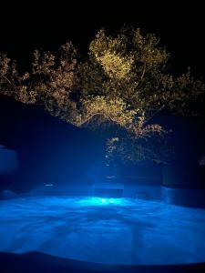 Bazén v ubytování Beach House Pods nebo v jeho okolí