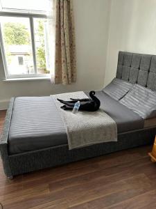 a bed with a black cat sitting on top of it at Affordable Private Rooms in Wembley in London