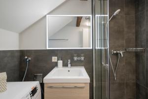 ein Bad mit einem Waschbecken und einer Dusche in der Unterkunft habu bei OLMA cosy stay in St. Gallen