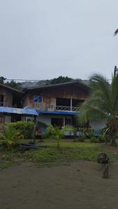 un edificio con una palmera delante de él en Cabaña La Marea, en Bahía Solano