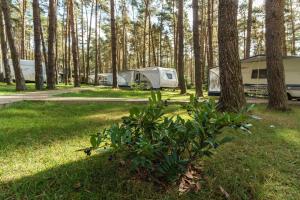 Urlaub im Wohnwagen mitten im Wald في Lütow: مجموعة من الخيام في حقل مع الأشجار