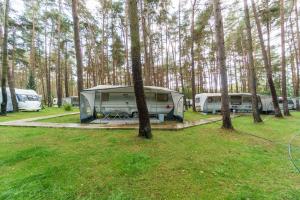 Urlaub im Wohnwagen mitten im Wald في Lütow: تم إيقاف سيارتين في حقل بجوار الأشجار