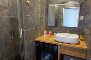 ein Badezimmer mit einem Waschbecken und einer Waschmaschine in der Unterkunft Appartement cosy proche Paris et Stade de France in Saint-Denis