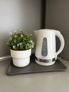 a coffee maker and a potted plant on a shelf at Center two bedroom apartment in Daugavpils
