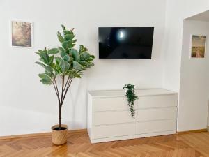 una cómoda blanca y una planta en una habitación en Sunny & Calm 45 m2 Apartment, en Viena
