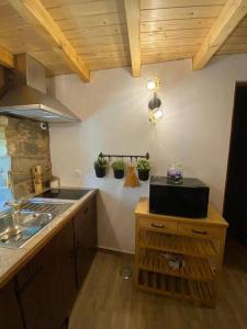 eine Küche mit einer Spüle und einer Theke mit Pflanzen in der Unterkunft Casa do Tear in Sobreira Formosa