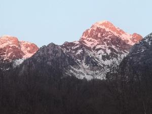 a group of snowy mountains with trees in the foreground at BROCHETA GUEST HOUSE in Belluno +51 photos