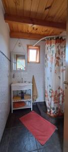 a bathroom with a sink and a shower curtain at cabaña La Ufu 2 in Golondrinas