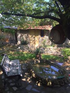 a bench sitting under a tree next to a pond at Mera Hostel in P'arts'khanaqanevi